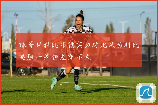 球哥评科比韦德实力对比认为科比略胜一筹但差距不大