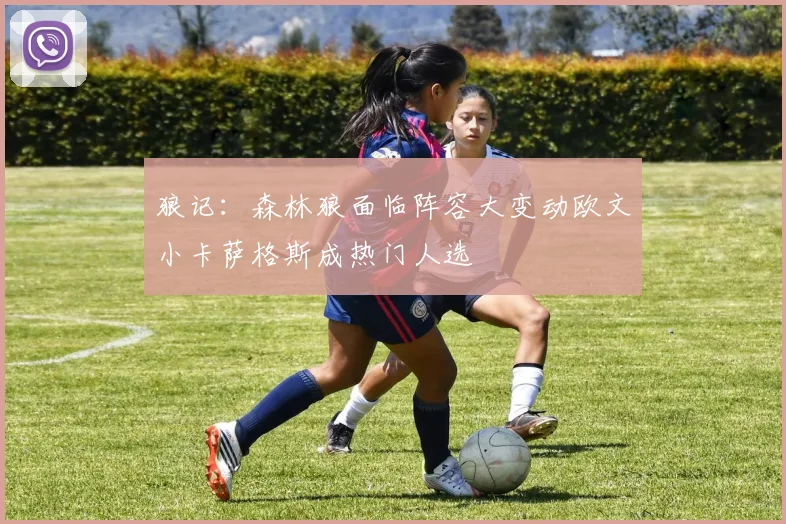 狼记：森林狼面临阵容大变动欧文小卡萨格斯成热门人选